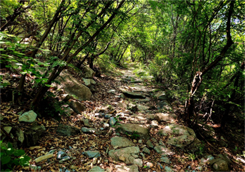 648457c03cfd4.png 冯10.png