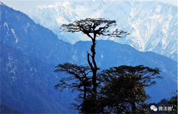 64b0d5380b8a3.png 去1111111111111.png