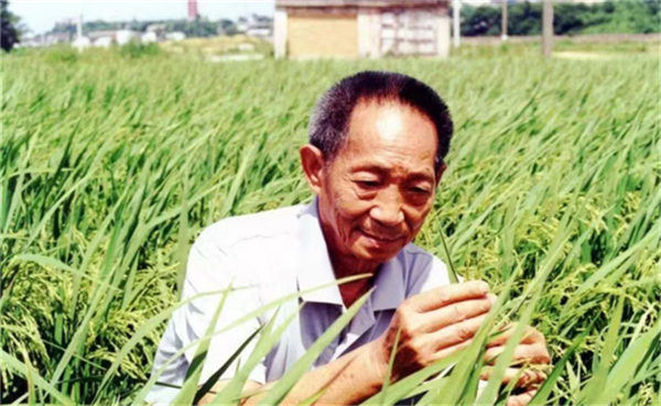 6544e3af548af.png 在33333333333333.png