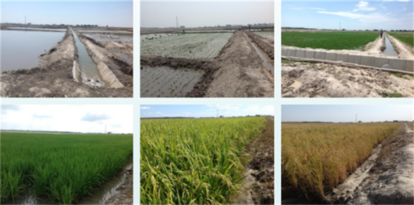 6544e3e4d684b.png 在777777777777777.png