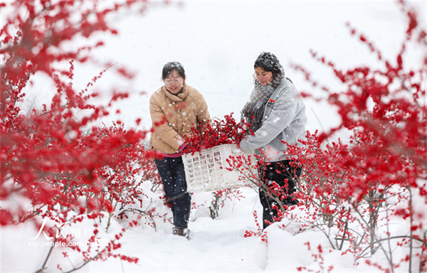 山东威海：寒冬下的“热”经济