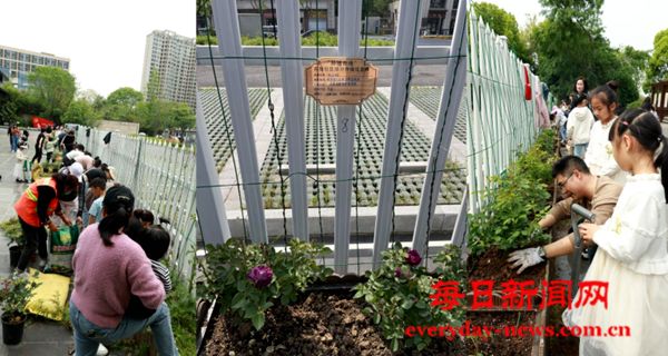 “种植奇缘·共赴美好”——江苏古雄社区家