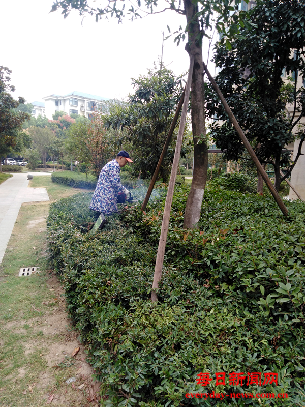 图片22.png 图片22.png