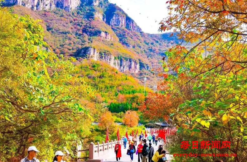 图55555555555.png 图55555555555.png