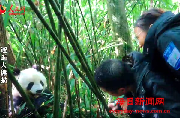 中国式现代化 | 人不负青山 青山定不负