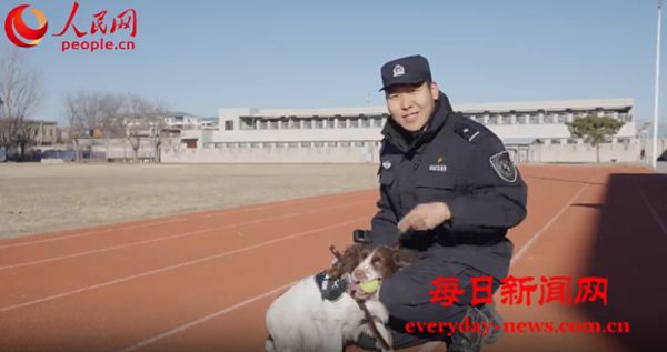 中国人民警察节系列策划｜警界“汪汪队”如