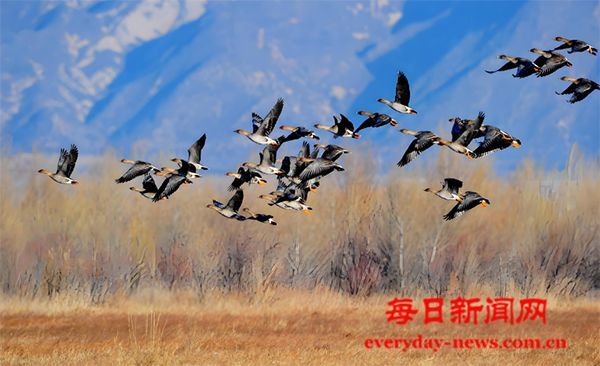 春之颂二首-诗文/邓淦群