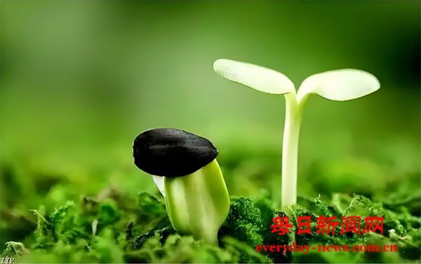 春 歌   诗文/邓淦群