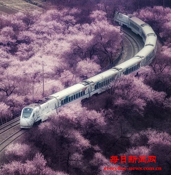 新春走基层｜29小时的列车送“新”回家