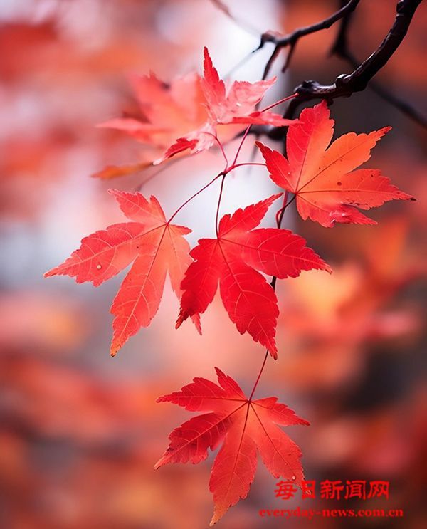 重新定义肥胖症