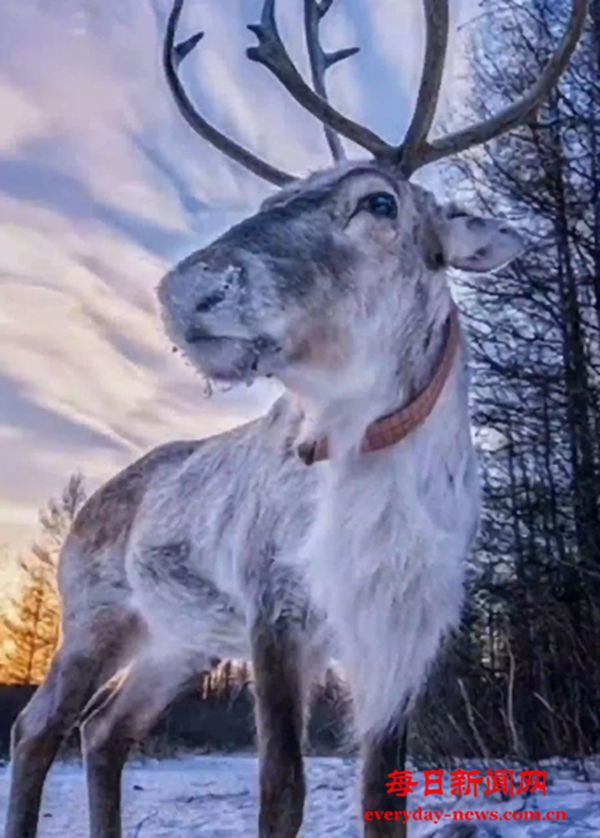 绘说现代化｜“冷资源”点燃“热引擎”，内