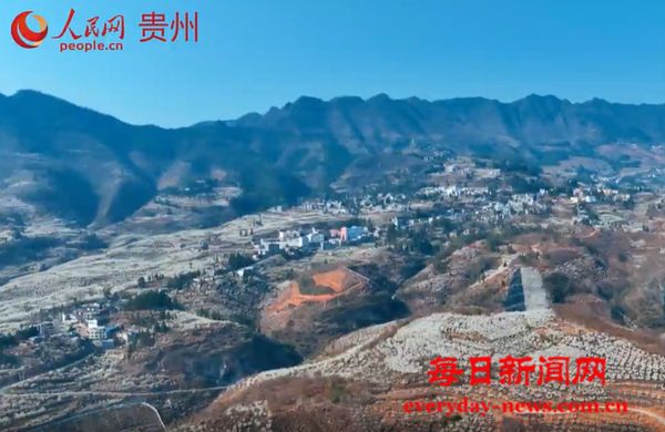 贵州纳雍：“纳”里的春天，值得一去