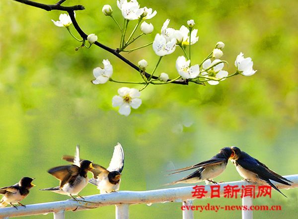 购物车里“囤健康” 健康消费按下加速键