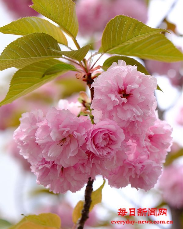 这样吃 专治各种不开心_