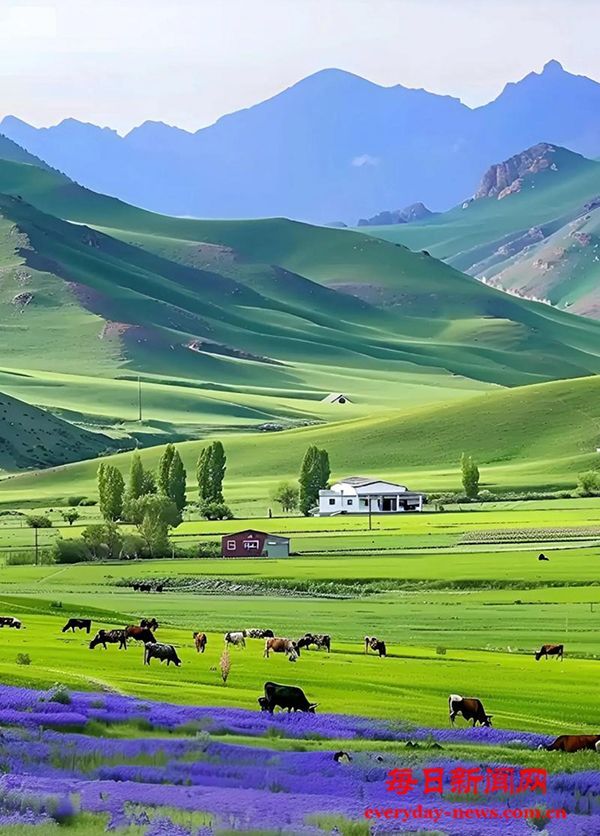 成立青年自组织，以兴趣为纽带凝聚服务青年