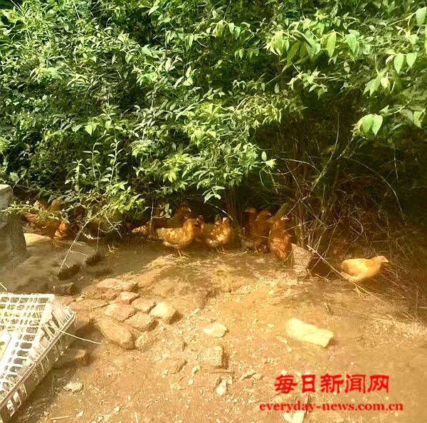 全球1111111111111111.jpg 全球1111111111111111.jpg