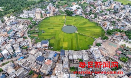 航拍海口“太极村”：400年古村落巧筑“
