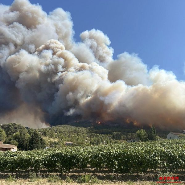 法国南部森林大火过火面积达1万公顷 9人