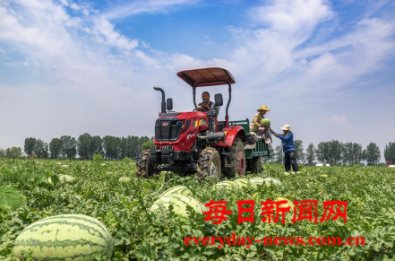 去66666666666.png 去66666666666.png