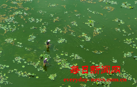 去77777777.png 去77777777.png