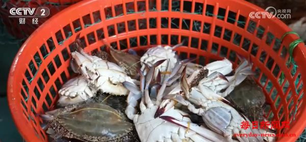 辣椒、海鲜、葡萄丰富百姓“菜篮子+果盘子