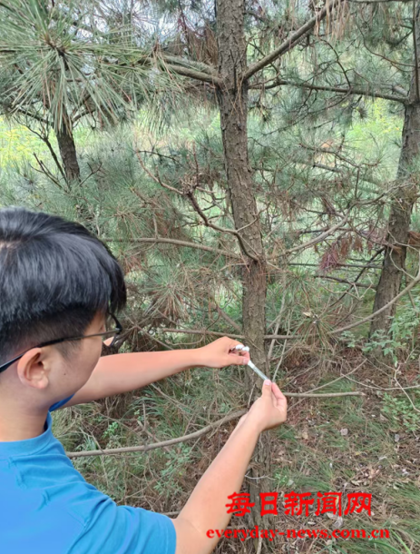 全球22222222222222.png 全球22222222222222.png