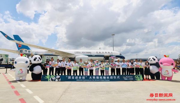迎全运盛会 大熊猫“久久”“友友”抵达广