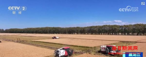 东北玉米金黄，江南稻浪翻滚！科技助力各地