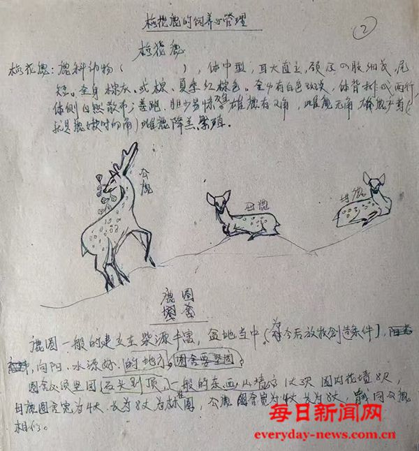 2.jpg 2.jpg