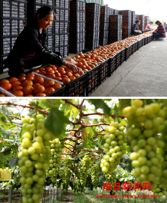 去444555.png 去444555.png