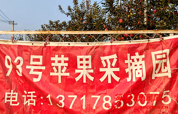 问问1111111111111111111111.png 问问1111111111111111111111.png