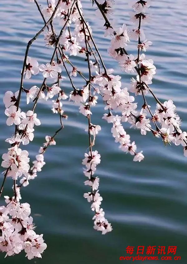 仁言任语 | 玄之又玄，玄妙之门